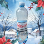 Palestine eau 50cl
