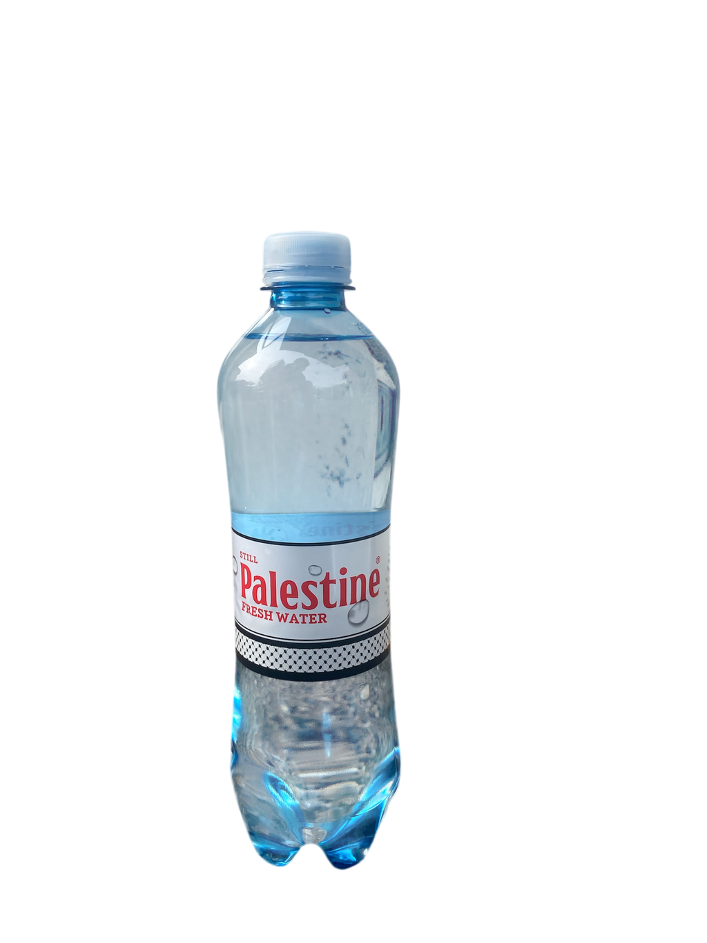 Palestine eau 50cl